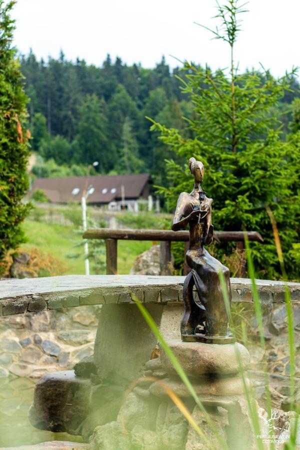 Pensiunea Lin Cota 1000 Sinaia Zewnętrze zdjęcie